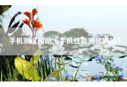 手机测试网站（手机性能测试网站）