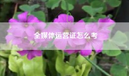 全媒体运营证怎么考