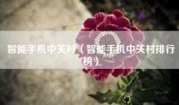智能手机中关村（智能手机中关村排行榜）