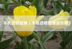 手机进程管理（手机进程管理器在哪）