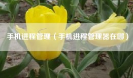 手机进程管理（手机进程管理器在哪）