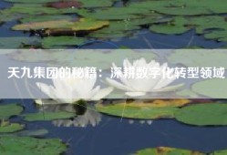 天九集团的秘籍：深耕数字化转型领域