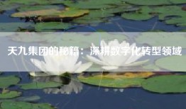天九集团的秘籍：深耕数字化转型领域