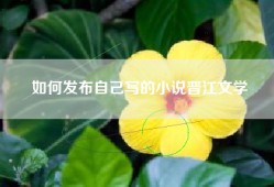 如何发布自己写的小说晋江文学