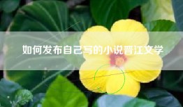 如何发布自己写的小说晋江文学