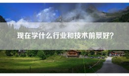 现在学什么行业和技术前景好？