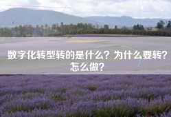 数字化转型转的是什么？为什么要转？怎么做？