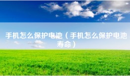手机怎么保护电池（手机怎么保护电池寿命）
