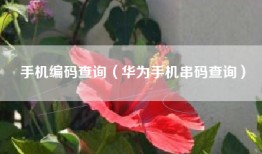 手机编码查询（华为手机串码查询）
