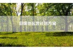 自媒体运营计划方案