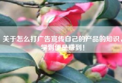 关于怎么打广告宣传自己的产品的知识，学到便是赚到！