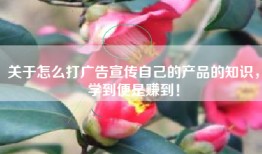 关于怎么打广告宣传自己的产品的知识，学到便是赚到！