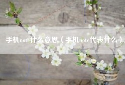 手机note什么意思（手机note代表什么）