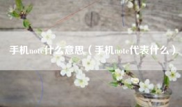 手机note什么意思（手机note代表什么）