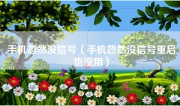 手机忽然没信号（手机忽然没信号重启也没用）