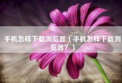 手机怎样下载浏览器（手机怎样下载浏览器？）