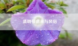 清明节由来与风俗