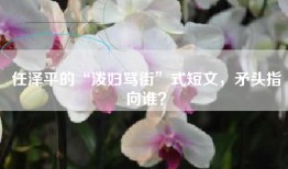 任泽平的“泼妇骂街”式短文，矛头指向谁？