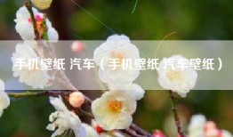 手机壁纸 汽车（手机壁纸 汽车壁纸）