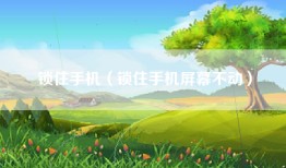 锁住手机（锁住手机屏幕不动）