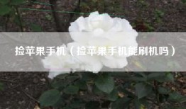 捡苹果手机（捡苹果手机能刷机吗）