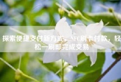 探索便捷支付新方式，NFC刷卡付款，轻松一刷即完成交易