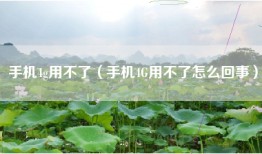 手机4g用不了（手机4G用不了怎么回事）