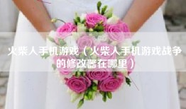 火柴人手机游戏（火柴人手机游戏战争的修改器在哪里）