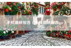 手机调研报告（手机调研报告ppt）