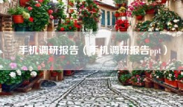 手机调研报告（手机调研报告ppt）