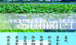 oppo手机怎么格式化手机（oppo手机怎么格式化手机代码是多少）