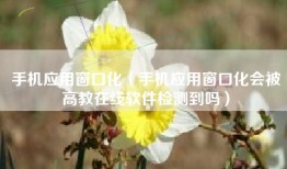 手机应用窗口化（手机应用窗口化会被高教在线软件检测到吗）