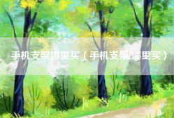 手机支架哪里买（手机支架 哪里买）