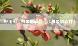 好用的手机录屏软件（手机录屏软件）