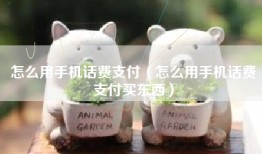 怎么用手机话费支付（怎么用手机话费支付买东西）