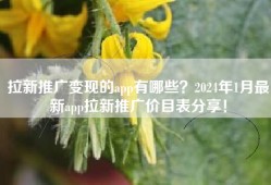 拉新推广变现的app有哪些？2024年1月最新app拉新推广价目表分享！