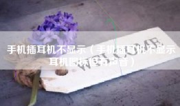 手机插耳机不显示（手机插耳机不显示耳机图标但有声音）