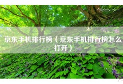 京东手机排行榜（京东手机排行榜怎么打开）