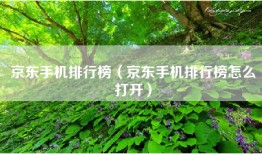 京东手机排行榜（京东手机排行榜怎么打开）