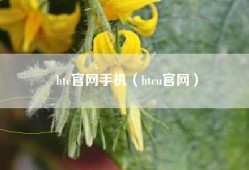 htc官网手机（htcu官网）