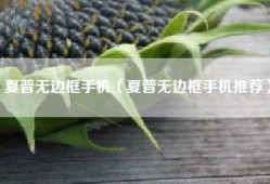 夏普无边框手机（夏普无边框手机推荐）