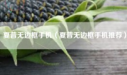 夏普无边框手机（夏普无边框手机推荐）