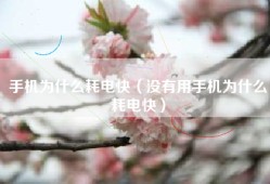 手机为什么耗电快（没有用手机为什么耗电快）