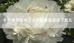手机键盘变小了（手机键盘变小了怎么办）