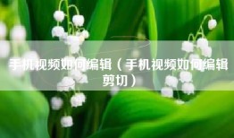 手机视频如何编辑（手机视频如何编辑剪切）