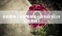 手机整理（手机整理统计资料应当以什么为基础）