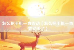 怎么把手机一直震动（怎么把手机一直震动关了）