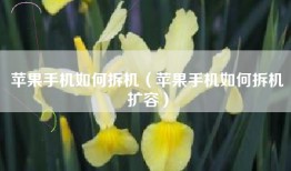 苹果手机如何拆机（苹果手机如何拆机扩容）