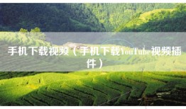 手机下载视频（手机下载YouTube视频插件）