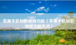 苹果手机抬起唤醒功能（苹果手机抬起唤醒功能失灵）